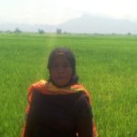 $195 was loaned to Zaina to expand her rice farm