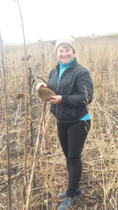 Elena in Moldova received a loan of $975 to buy a cultivator to help her harvest her corn and sunflowers.
