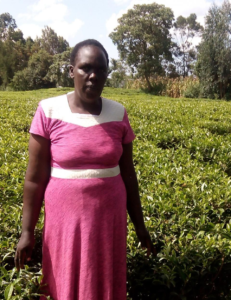 Elizabeth in Kenya received a loan of $425 to buy inputs for her tea farm to increase her yield.