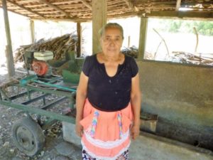Our $1000 loan to Marta in El Salvador will help her buy concentrated feed and vitamins for the cattle on her farm.
