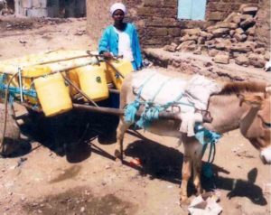 Our $750 loan to Martha in Kenya will help her buy another donkey and cart for her business selling water.
