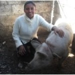 Maribel from Mexico received a loan to buy three piglets to raise and sell.