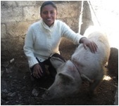 Maribel from Mexico received a loan to buy three piglets to raise and sell.
