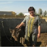 Kulijamal from Kyrgyzstan received a loan to buy cows to raise.