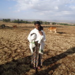 Bizu of Ethiopia received $300.00 to purchase a farm ox.