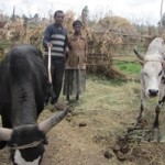 Bayush of Ethiopia received $250.00 to buy fertilizer for crops.