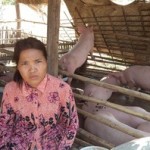 Heab of Cambodia received $550.00 to buy piglets and pig feed.