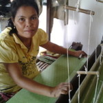 Noeum of Cambodia received $300.00 to purchase fertilizer, pesticide and silk.