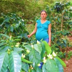 Meira of Honduras received $675 to buy farming supplies to re-invest in her coffee crops.