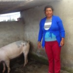 Maria from Ecuador received $1,450 to buy more pigs for her business raising and selling pigs.
