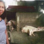 Nancy from the Philippines received $450 to buy more pigs to expand her business raising and selling pigs.
