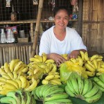$225 was given to Wilda as part of her requested loan amount to purchase additional boxes of bananas for resale.