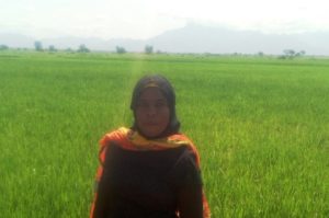 $195 was loaned to Zaina to expand her rice farm