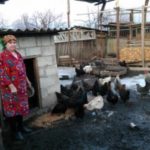 Larisa from Moldova received a loan of $1,000 to rebuild a stable for pigs and chickens.