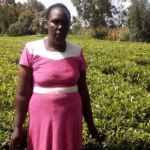 Elizabeth in Kenya received a loan of $425 to buy inputs for her tea farm to increase her yield.