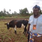 Our $500 loan to Doricas in Kenya will be used to buy fertilizers for her maize and dairy farm business.
