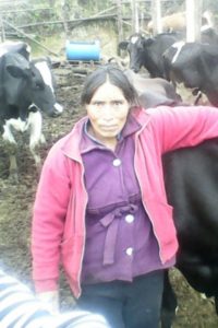 Our $1500 loan to Yovanna in Ecuador will buy 2 young cows for raising and breeding.
