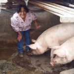 Our loan of $300 to Edy Esmeralda in Ecuador will help her buy more pigs, feed, potatoes, supplements and vitamins for her pig rearing business.