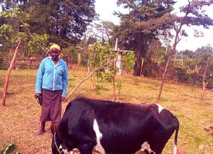 Our $325 loan to Maurine in Kenya will help her buy seeds and fertilizer to expand her vegetable and dairy farm.
